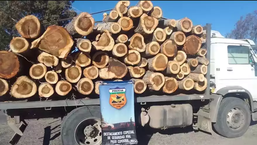 madera