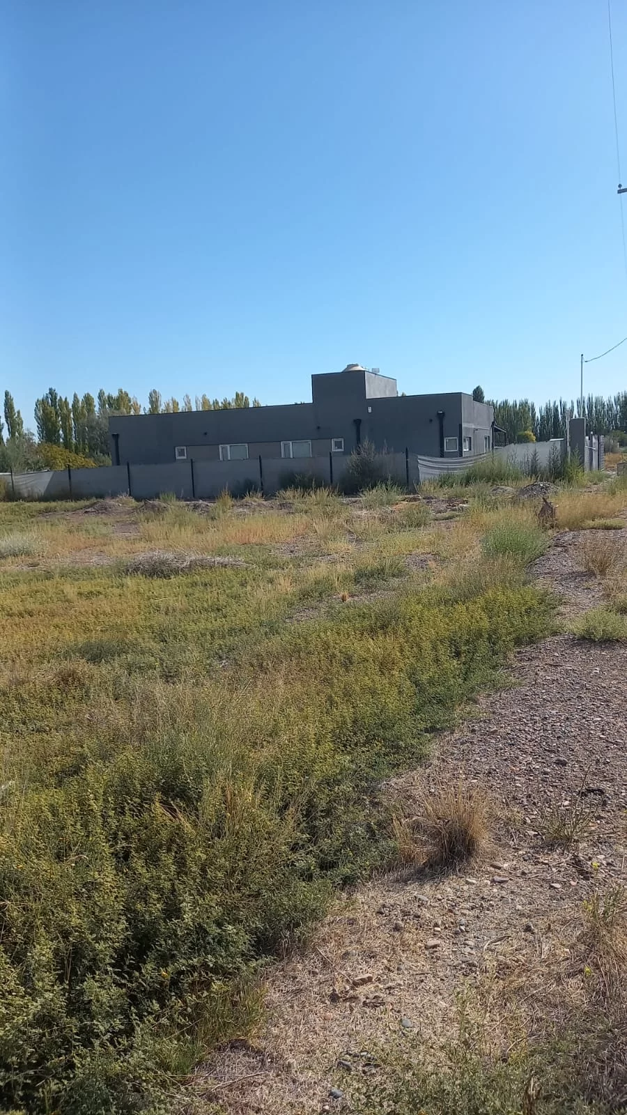 lote-Viterbori-2